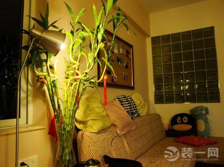 两居室装修改造效果图